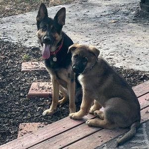 Meet your Posher, Stacey